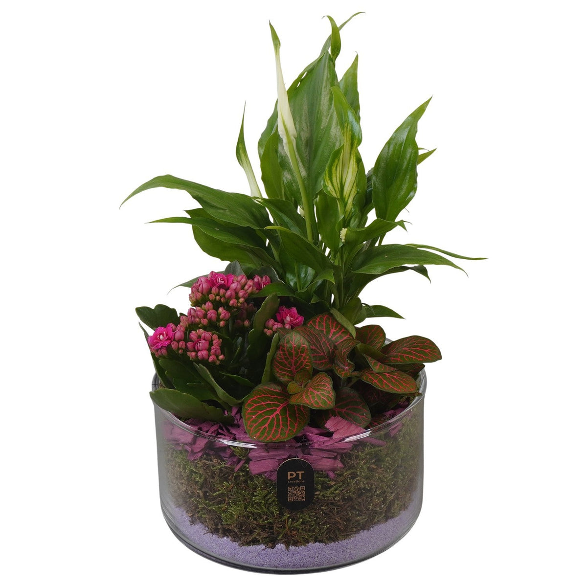 Indoor arrangement 28cm 14cm Pot