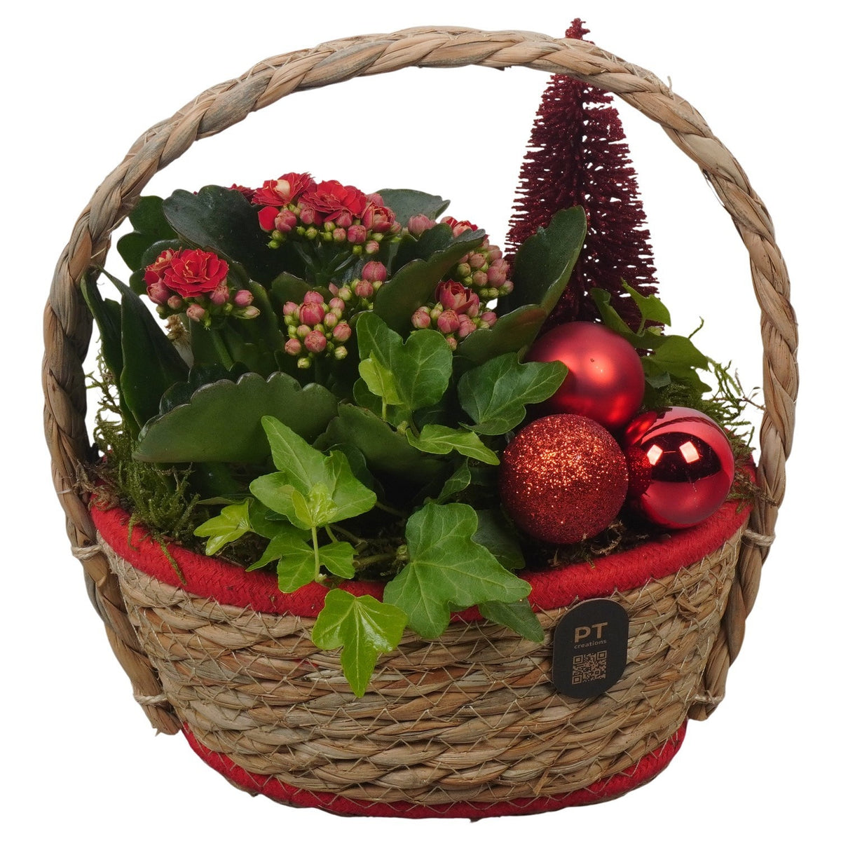 Christmas arrangement 20cm 17cm Pot