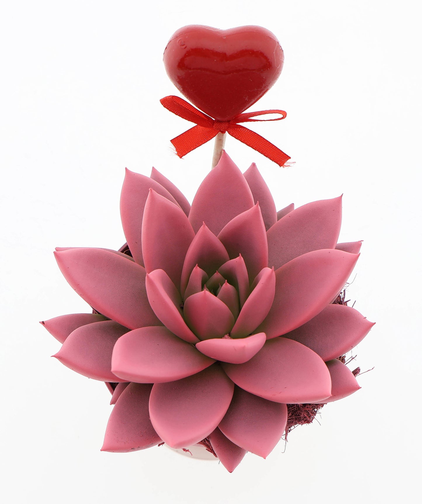 Miranda roze + hartje 10cm 8.5cm Pot