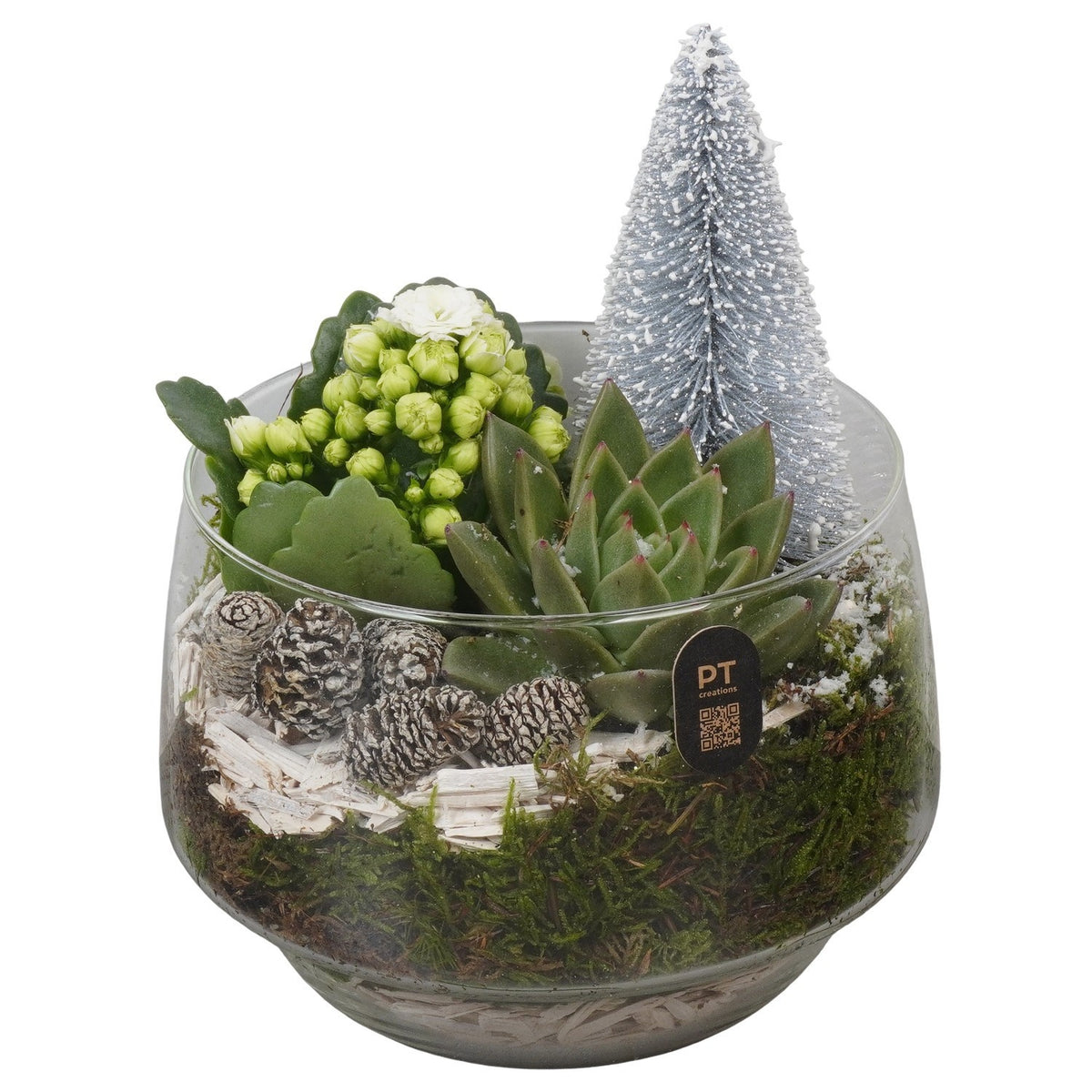 Christmas arrangement 20cm 16cm Pot