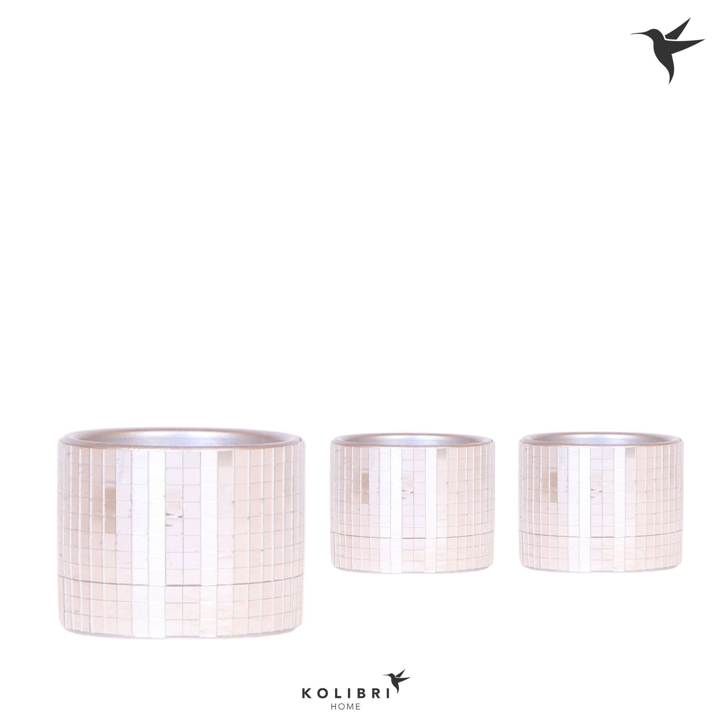 OK Plant Kolibri Home Disco pot Pack of 12
