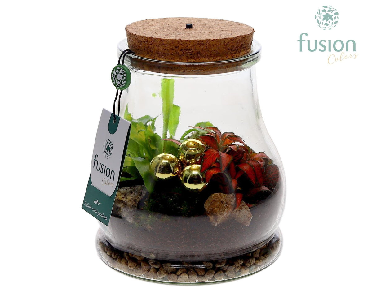 Terrarium met LED verlichting Kerst met arrangement 20cm 15cm Pot