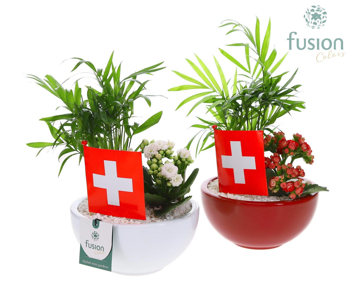 Keramiek moonschaal Small Zwitserland wit en rood met arrangement 25cm 15cm Pot