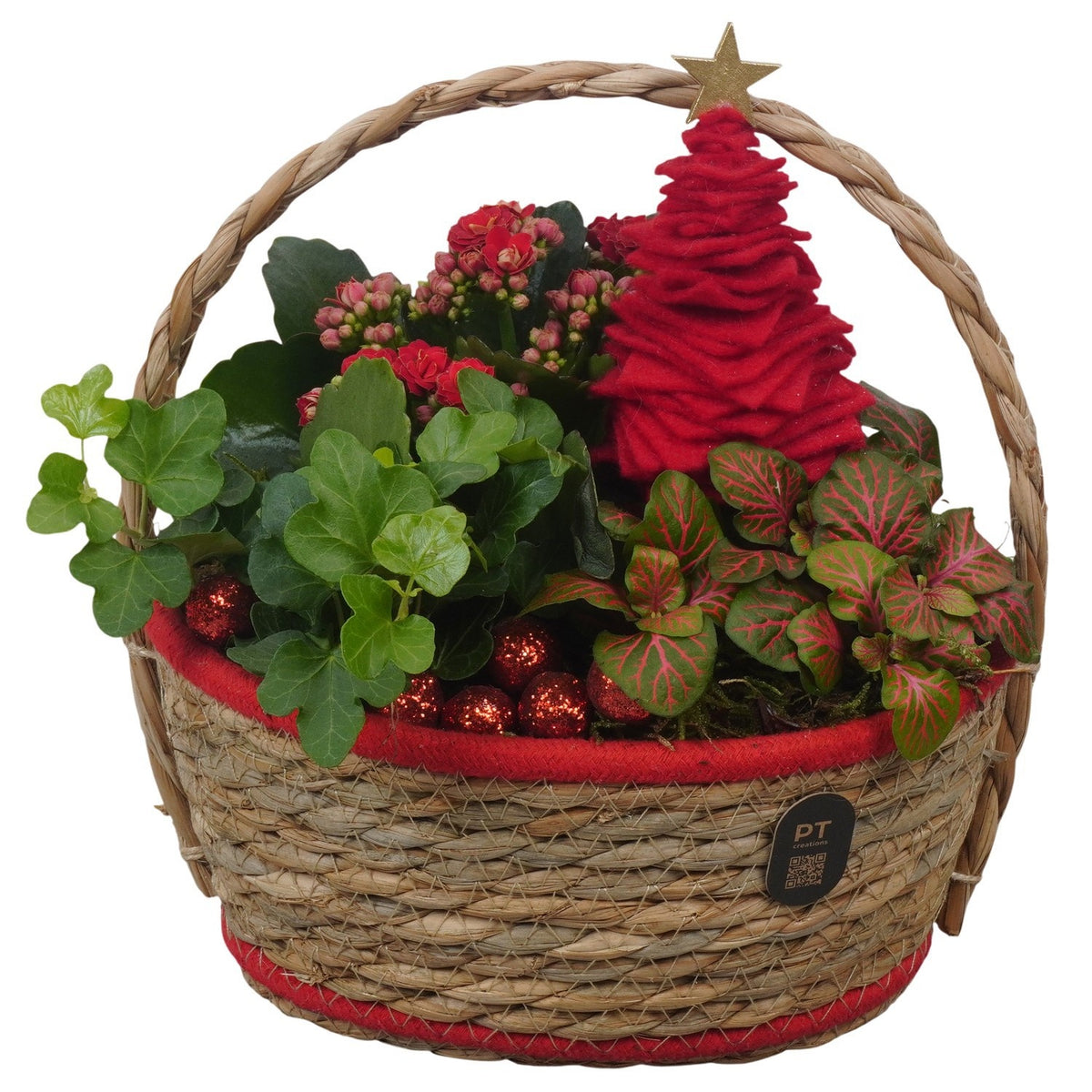 Christmas arrangement 22cm 20cm Pot