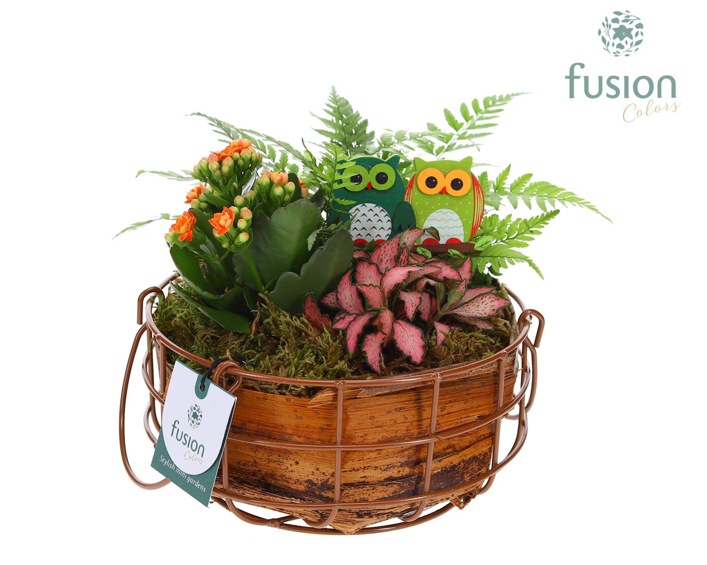 Mand metaal rond Medium Herfst met Arrangement 20cm 19cm Pot