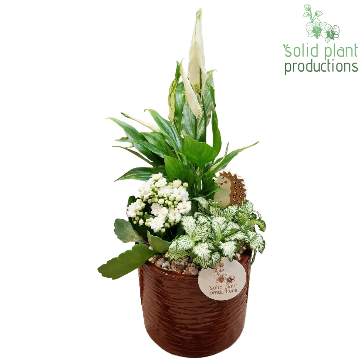 SP001 Amy Brown 35cm 13cm Pot