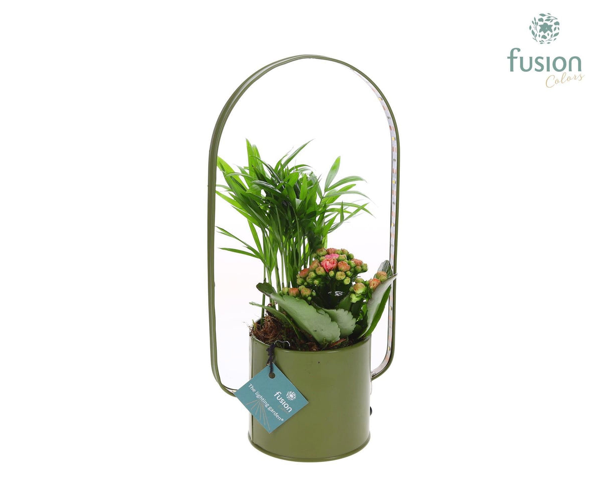 Zinken planter met LED verlichting en Arrangement 29cm 9cm Pot