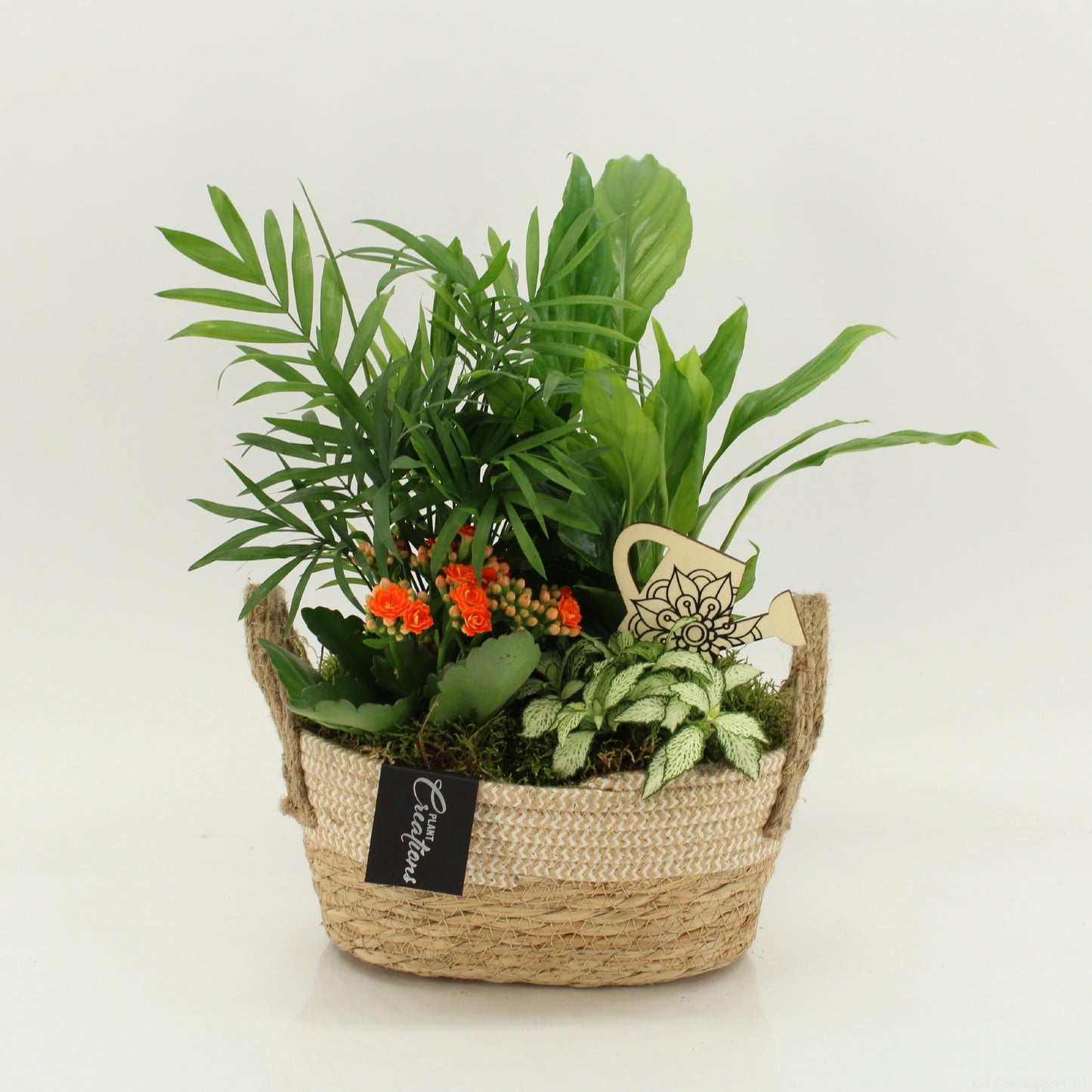 FDCR-2618OR Basic Fundamentals 35cm 24cm Pot