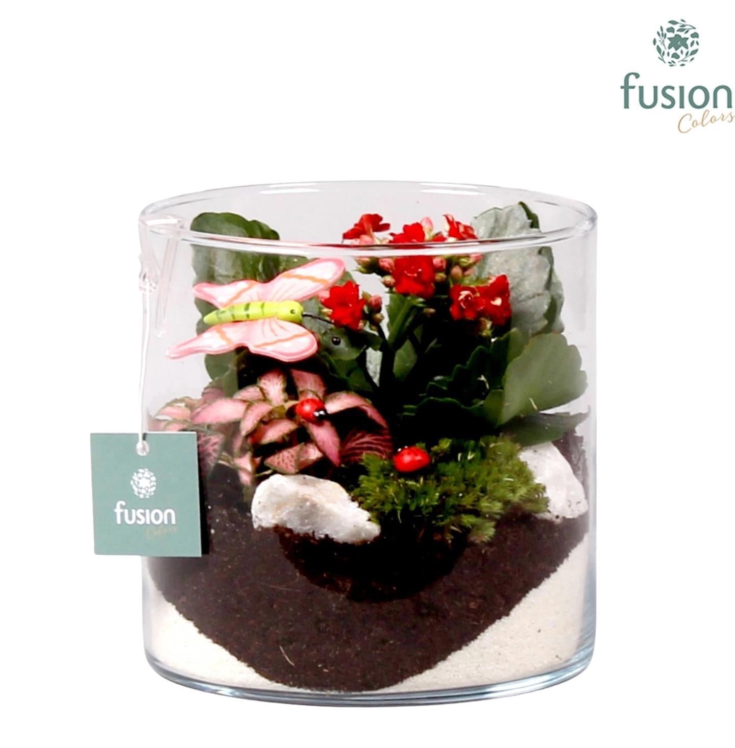 Glas cilinder met arrangement 2pp 15cm 15cm Pot