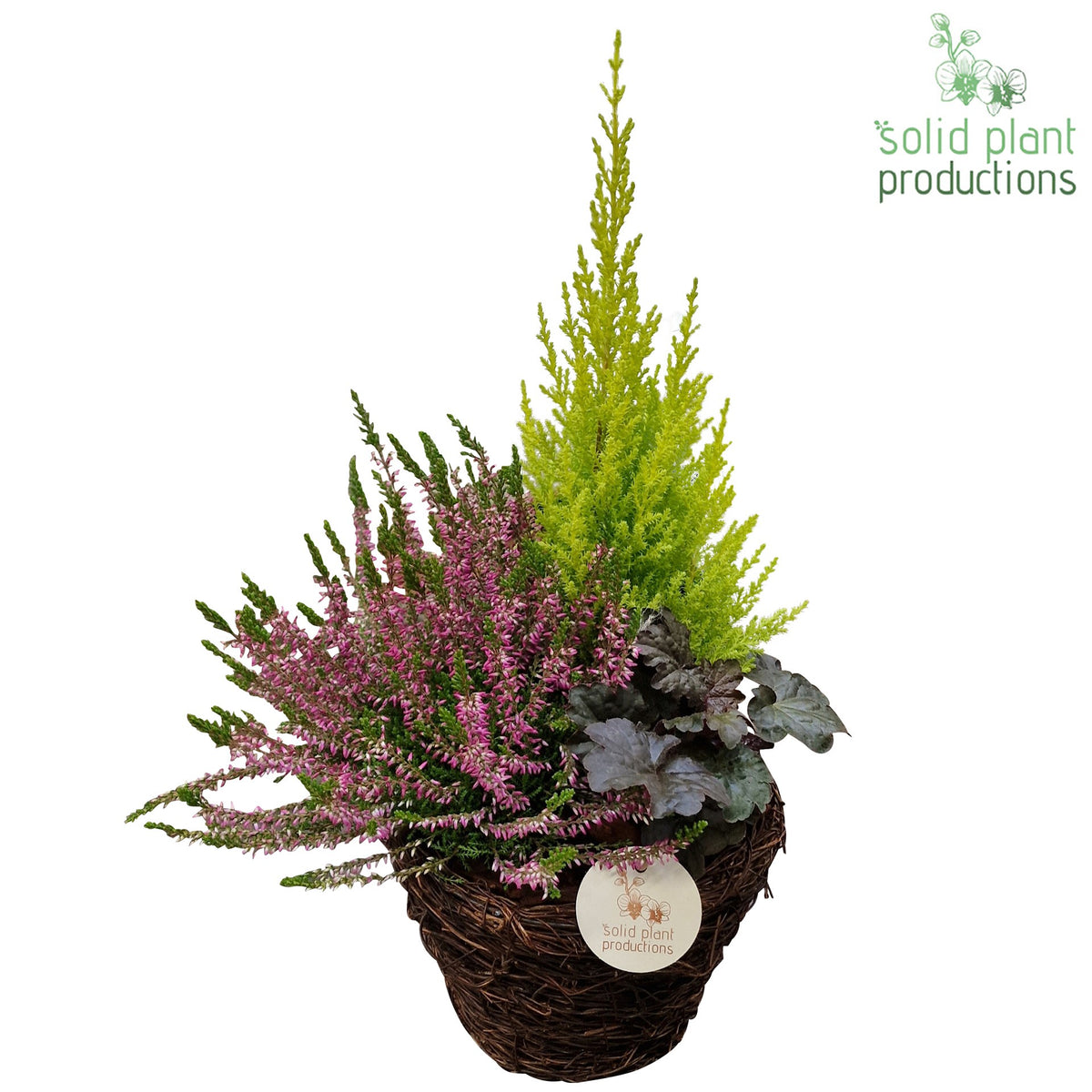 SBSC002 Salim B Small 45cm 20cm Pot