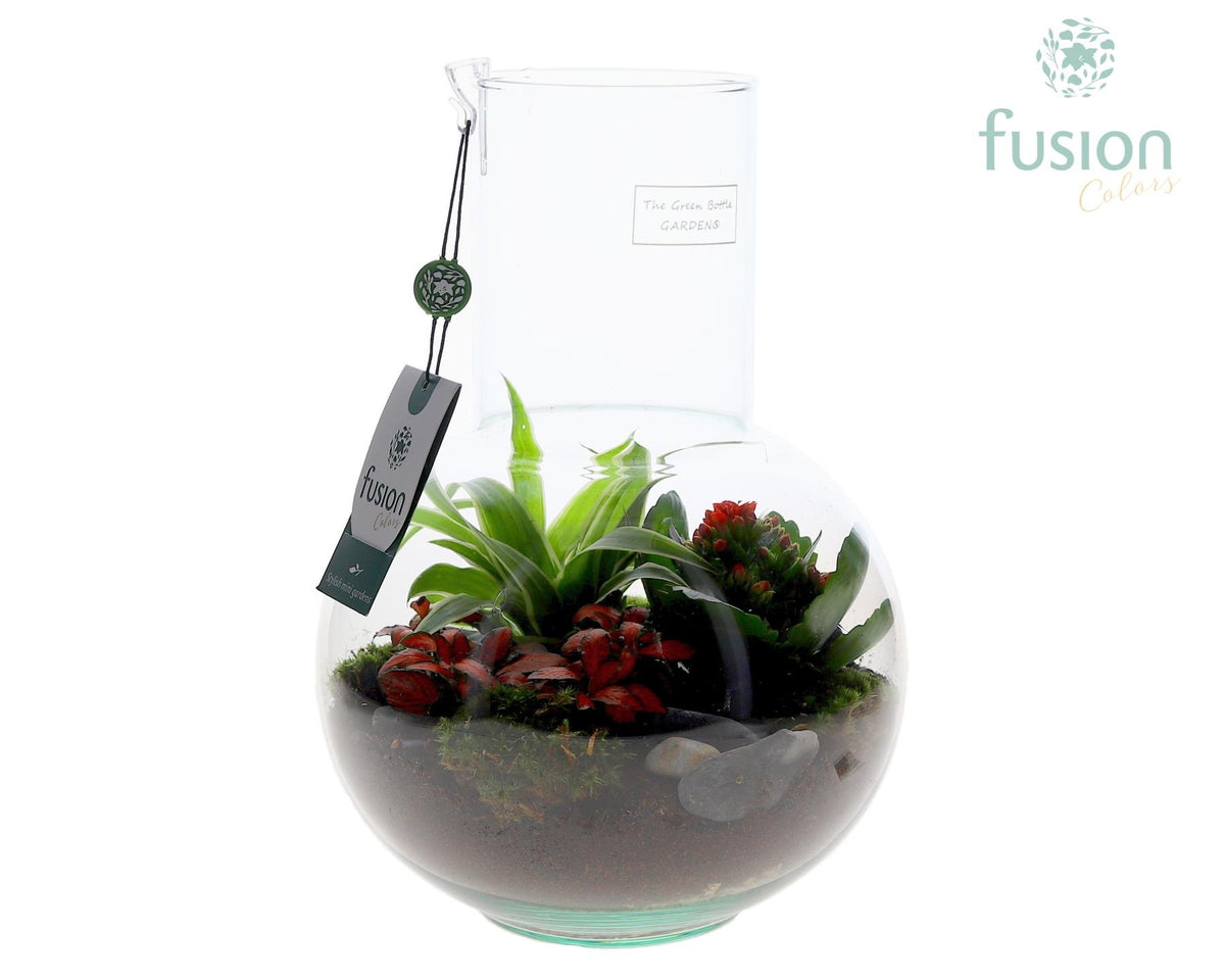 Green Bottle Suzanne Medium met arrangement 29cm 21cm Pot