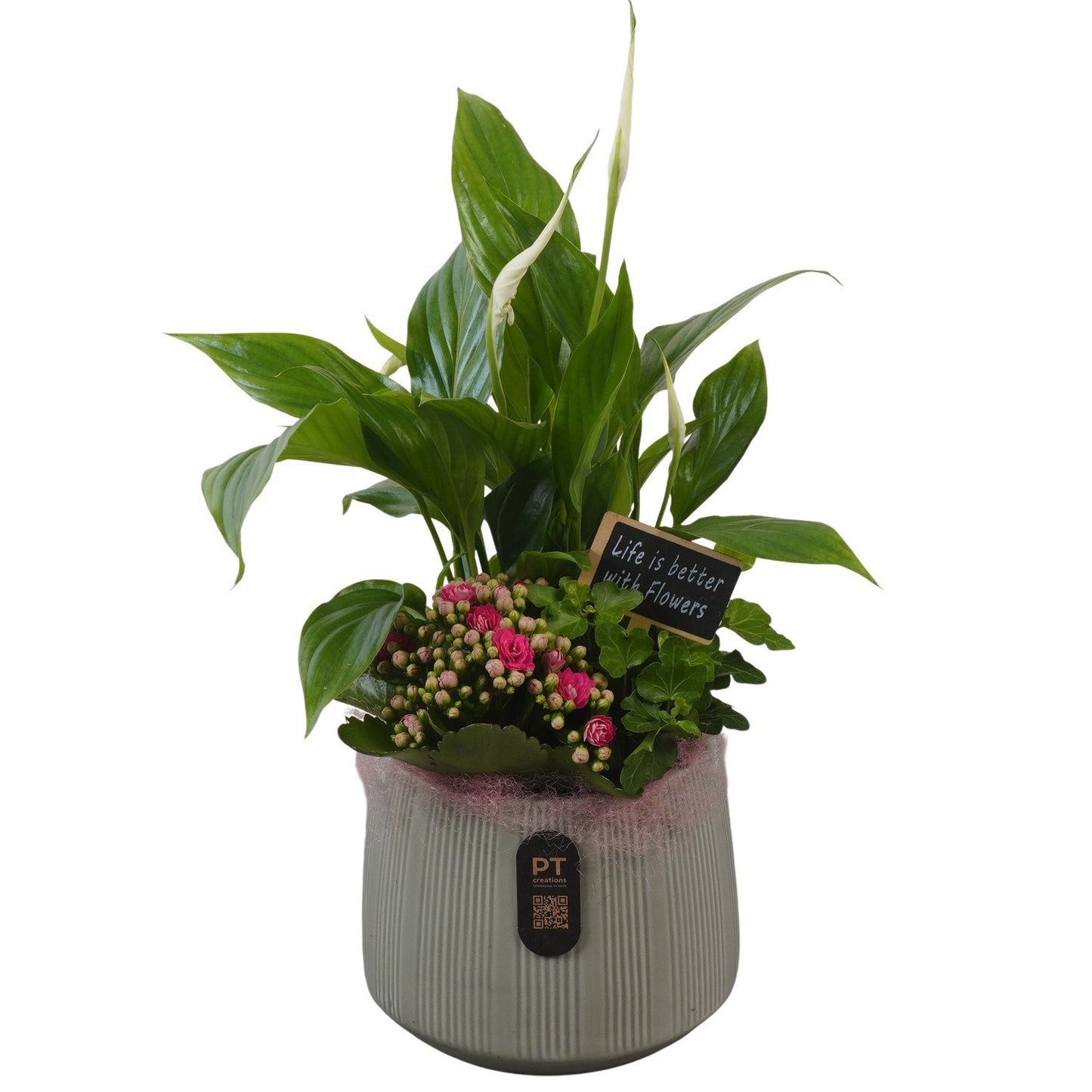 Indoor arrangement 41cm 15cm Pot