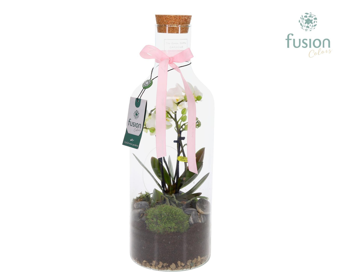 Green Bottle Fles Medium met 4 tak Phalaenopsis 24 uurs levertijd 43cm 15cm Pot