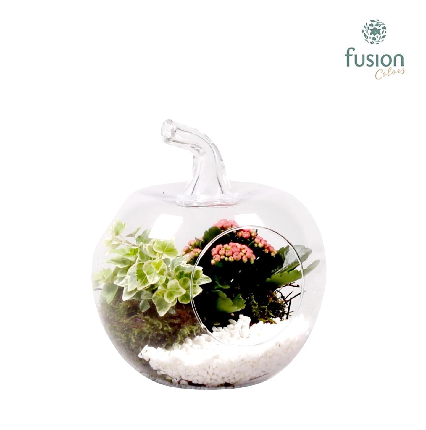 Fusioncolors BV Glas appel met Arrangement 2pp Pack of 2
