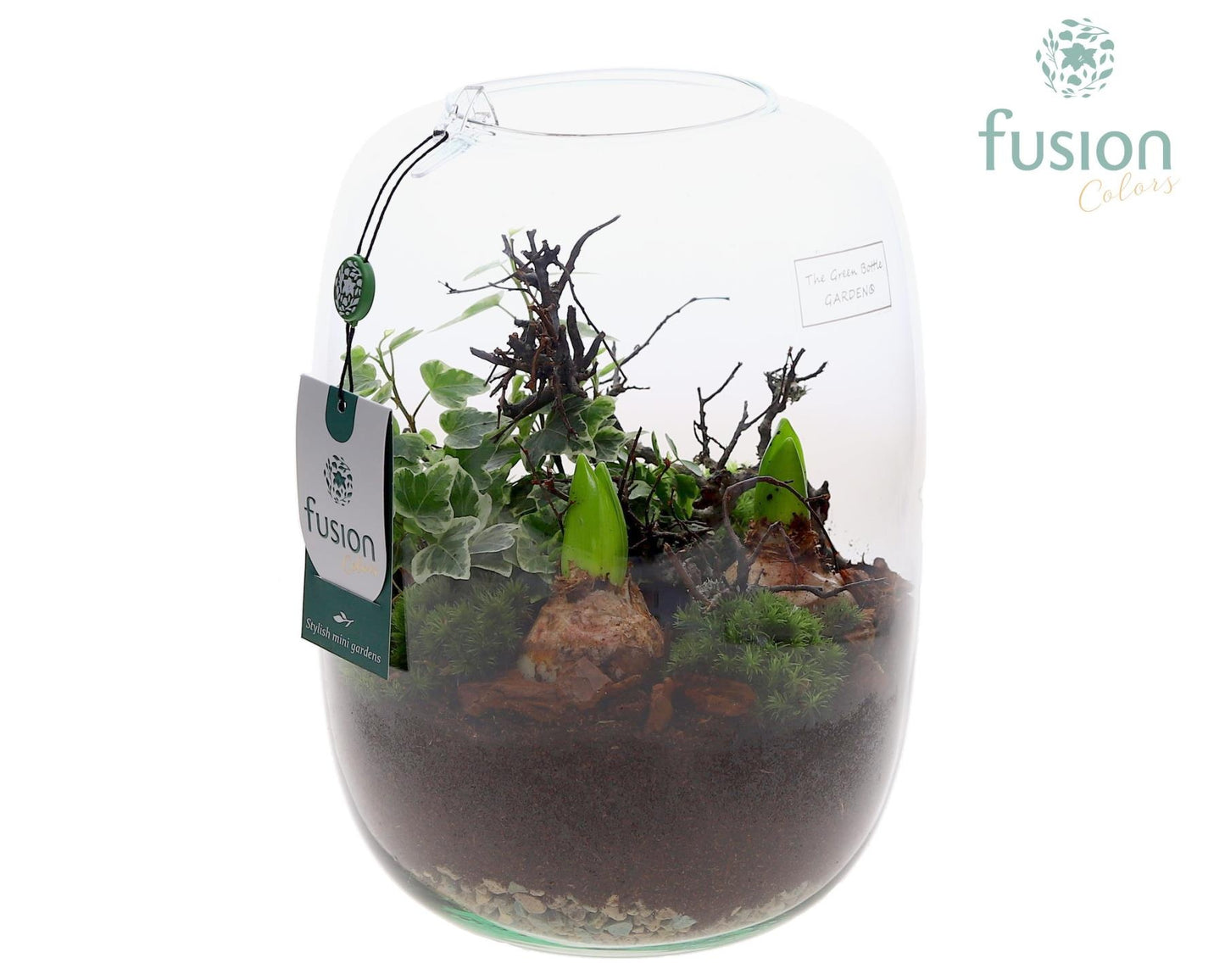 Green Bottle Isabella Large met Hyacinten arrangement 29cm 19cm Pot