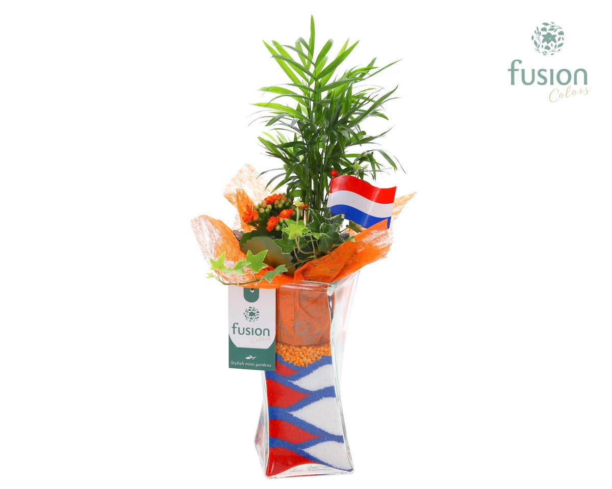 Glas Twistervaas met Arrangement Nederland 43cm 10cm Pot