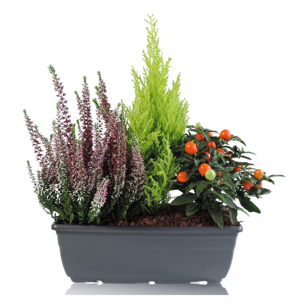 Outdoor arrangement 40cm 27cm Pot