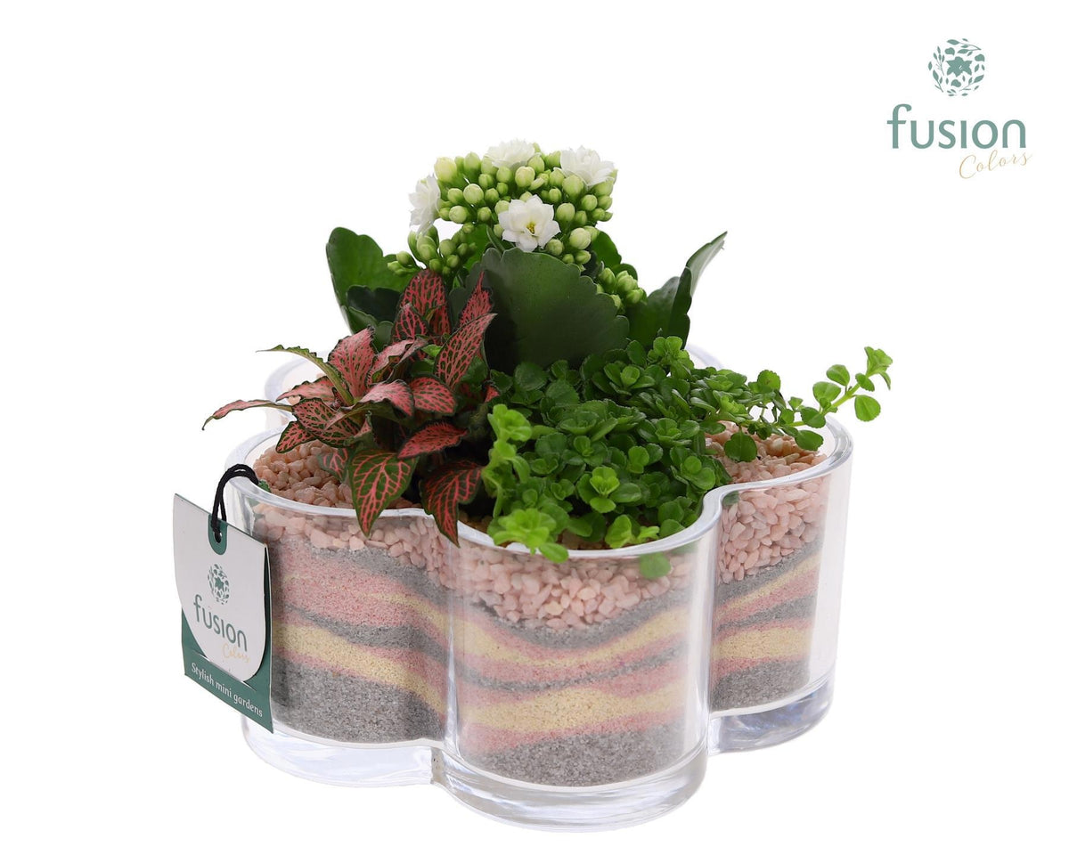 Glas Bloemschaalmet Arrangement 3pp 15cm 18cm Pot