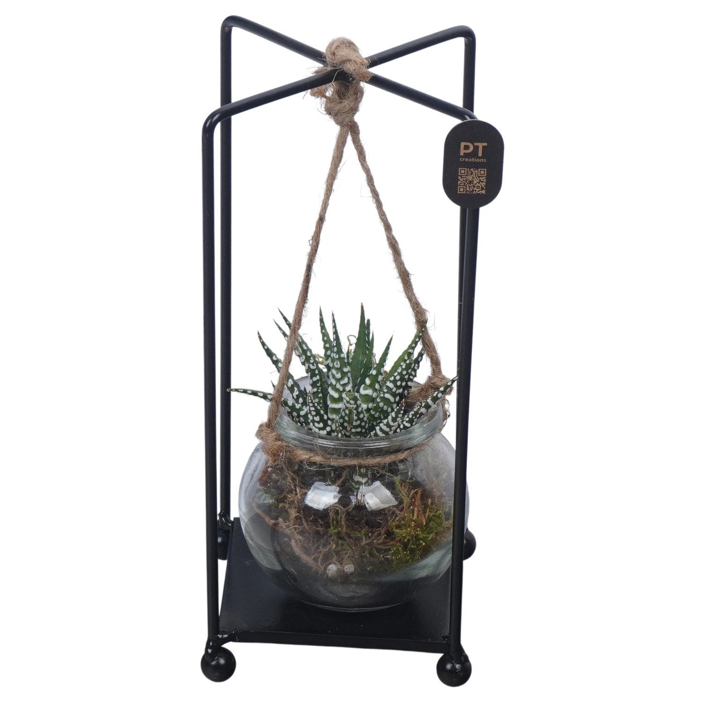 Indoor arrangement 22cm 10cm Pot