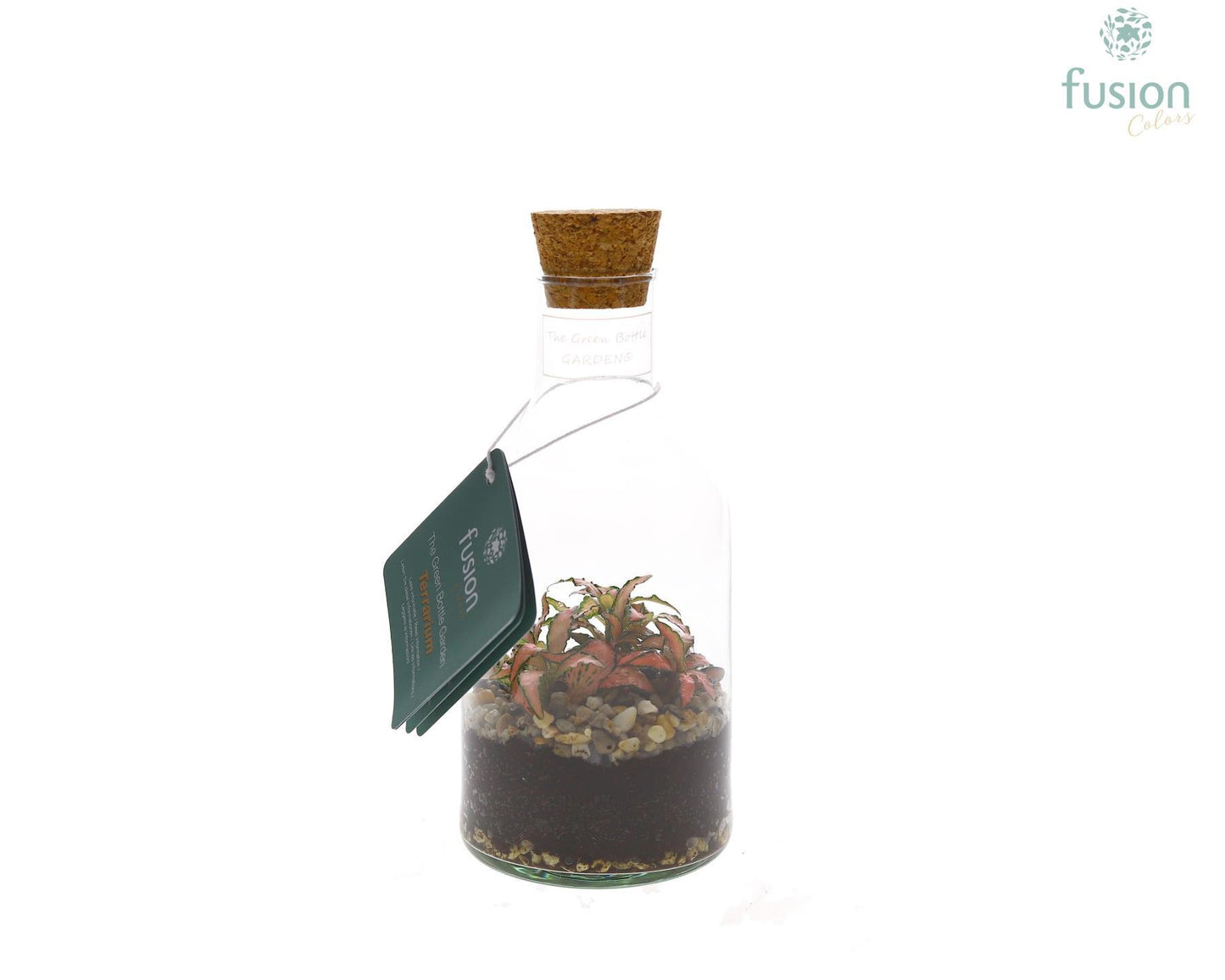 Green Bottle Terrarium Fles Small 20cm 9cm Pot