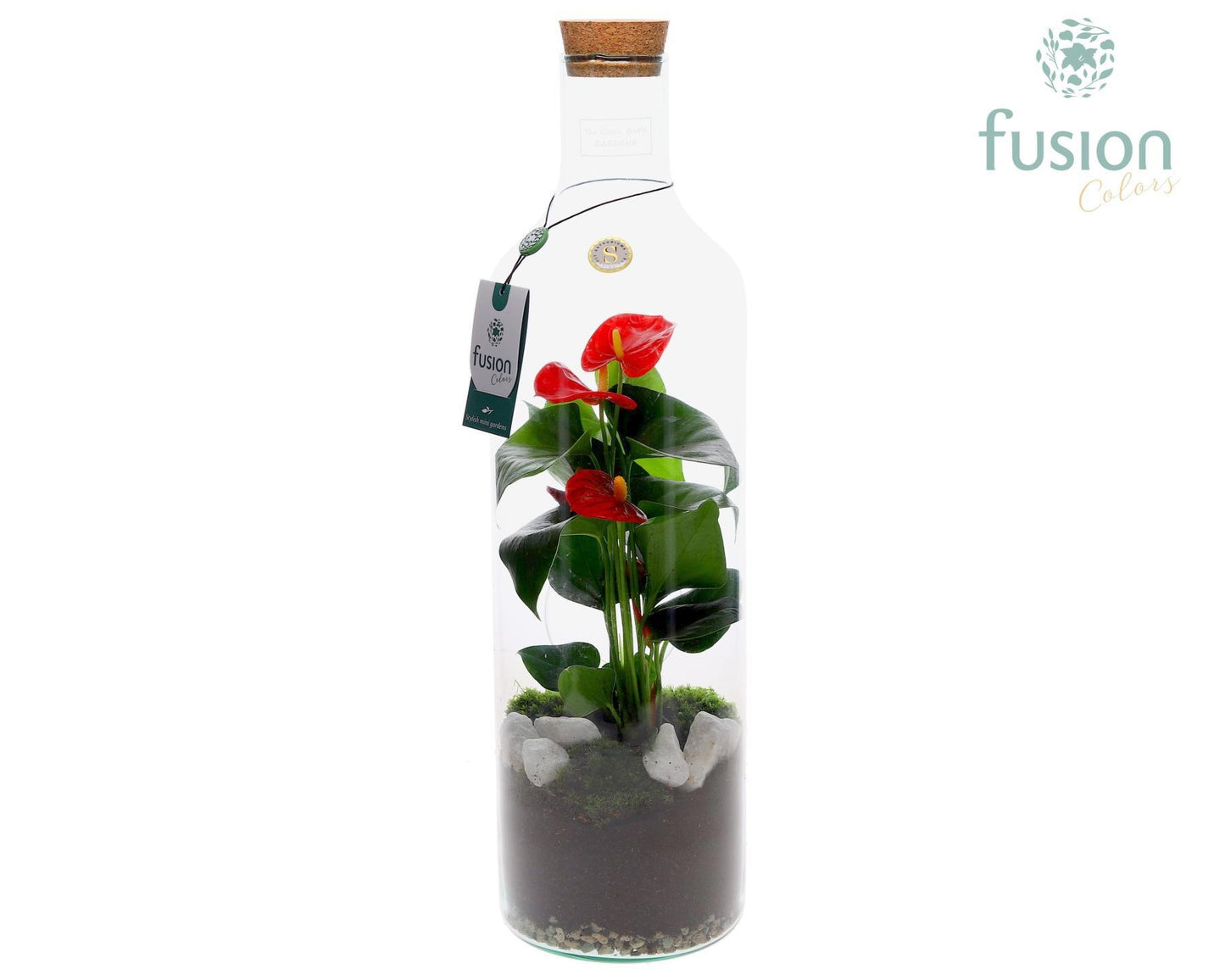 Fusioncolors BV Green Bottle Fles Large met Anthurium Rood Pack of 6