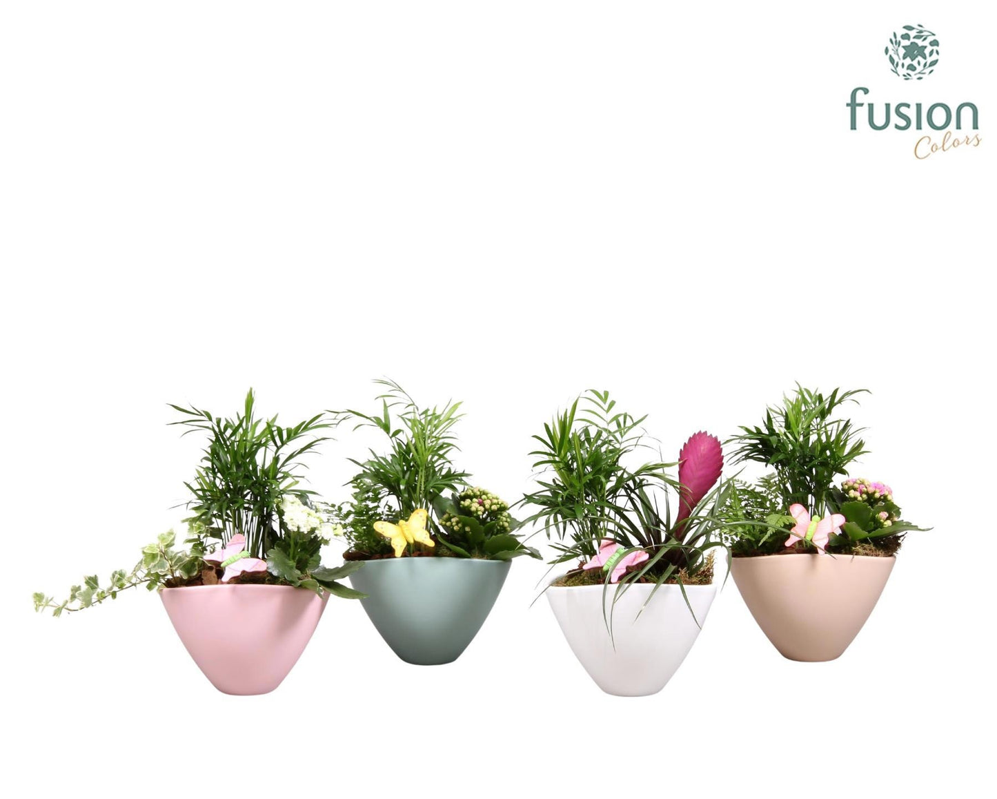 Fusioncolors BV keramiek pot met plantmix arrangement Voorjaar Pack of 4