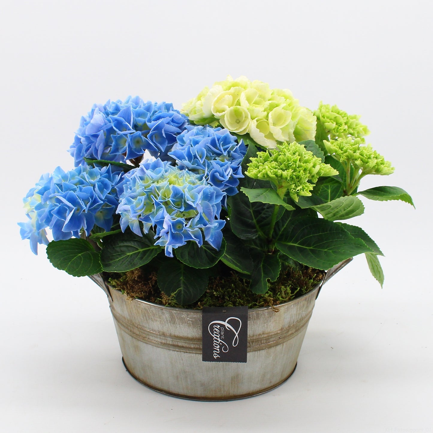 KHCR-2614M Hydrangea creations 30cm 23cm Pot