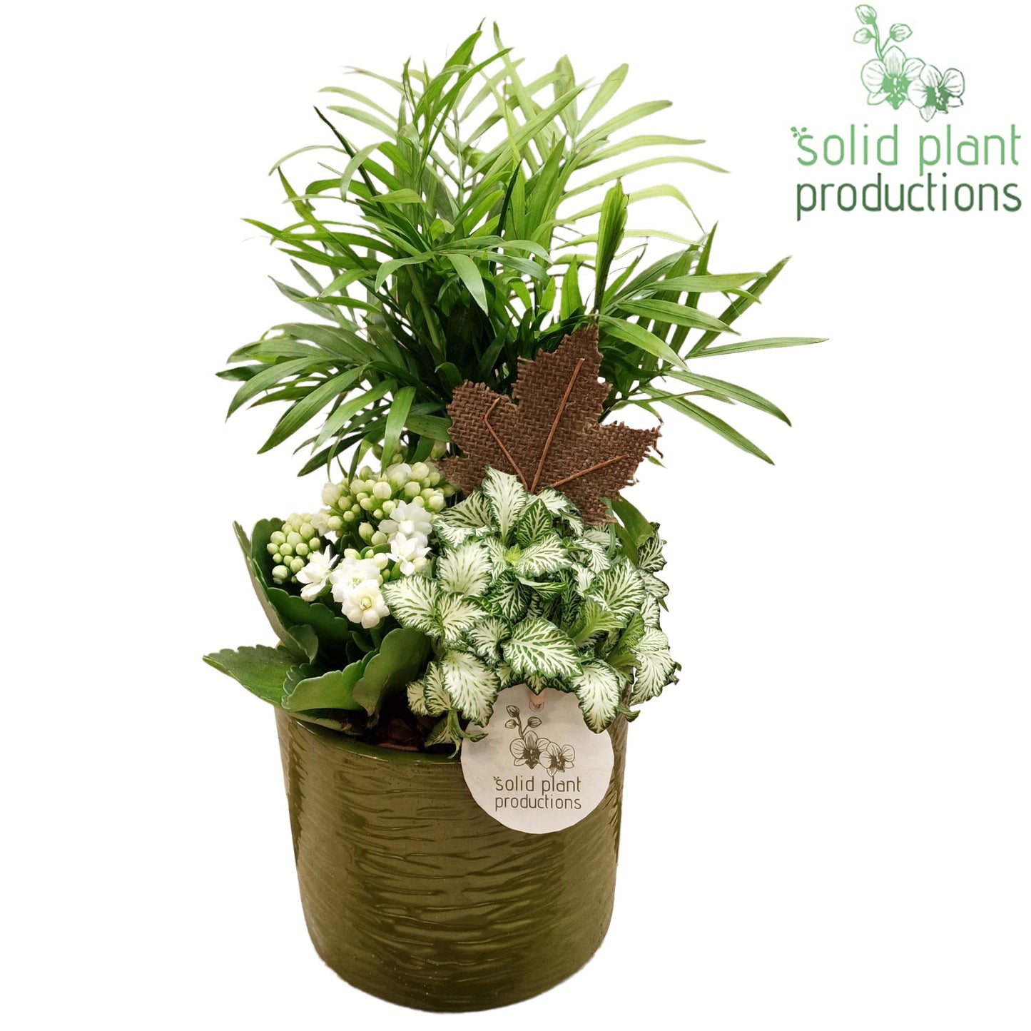 CH001 Amy Green White 35cm 13cm Pot