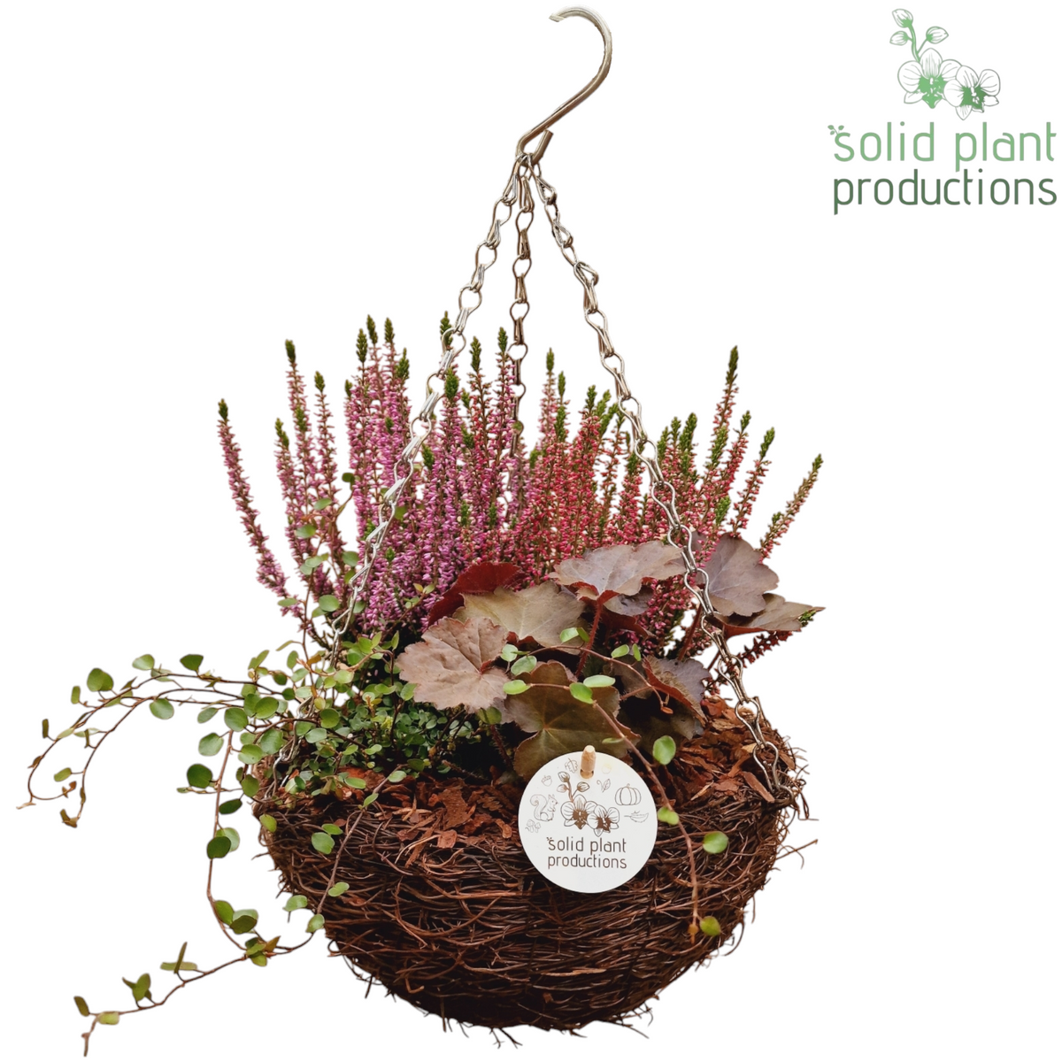 SHM002 Salim Hanging Basket Medium 30cm 26cm Pot