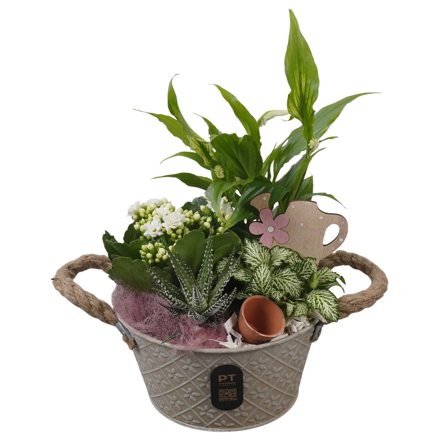 Indoor arrangement 30cm 18cm Pot