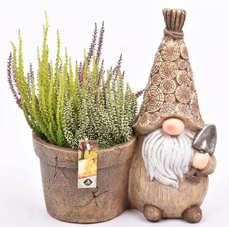 Outdoor arrangement 27cm Pot