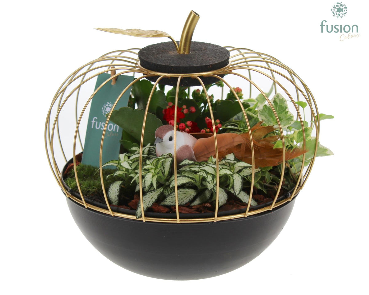Metaal appel goudzwart Large met Arrangement 25cm 23cm Pot