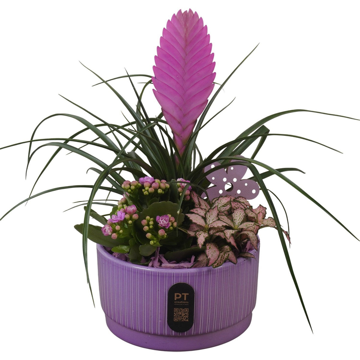Indoor arrangement 30cm 16cm Pot