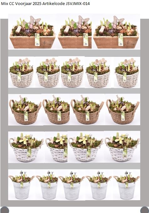 JS-Creations arr. Bulbs Pack of 50