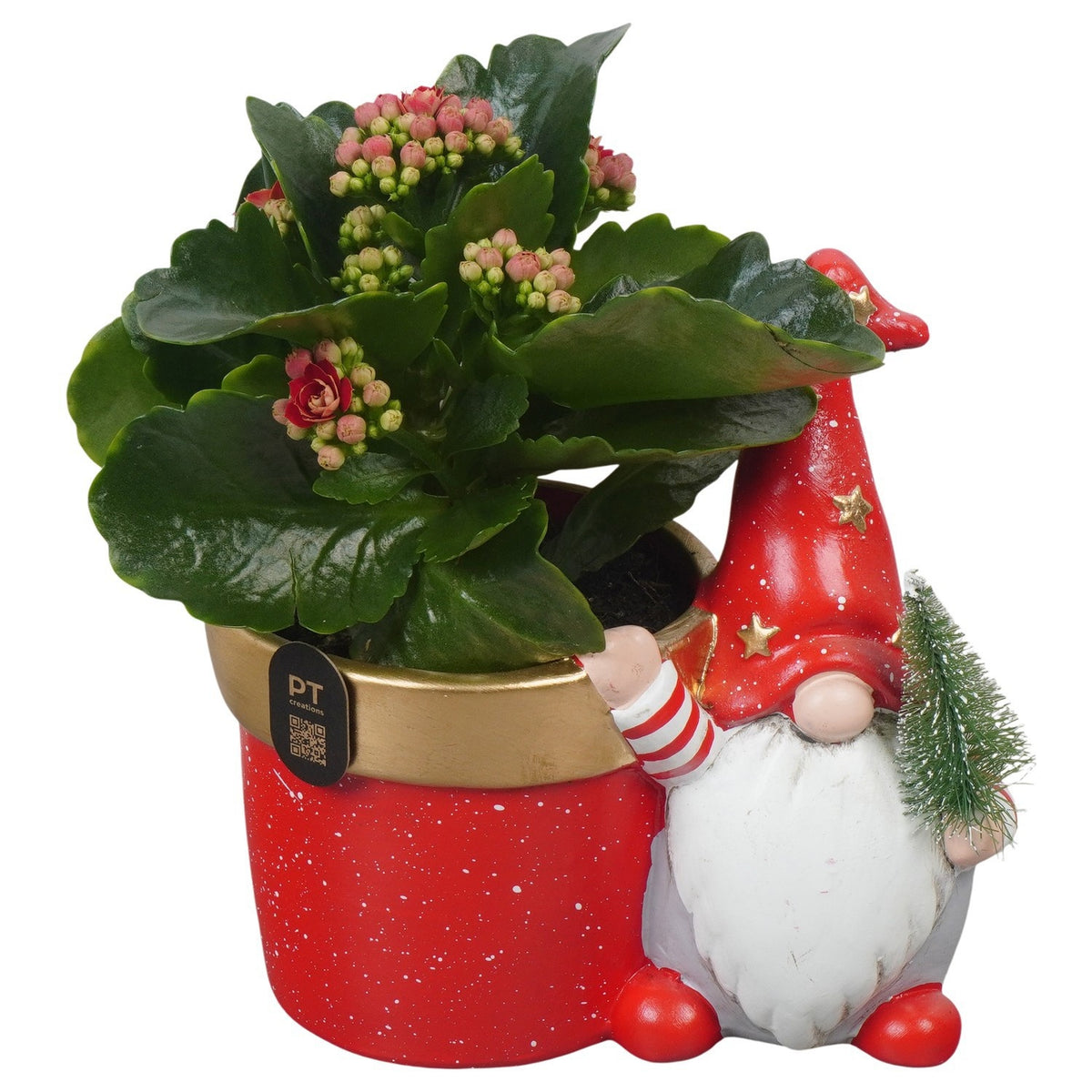 Christmas arrangement 19cm 16cm Pot