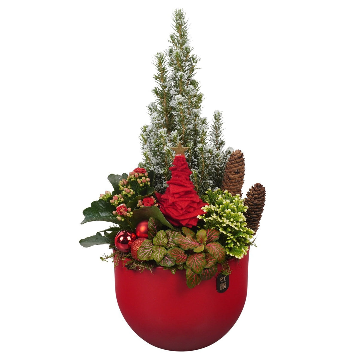 Christmas arrangement 46cm 19cm Pot