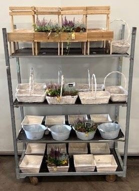 Outdoor arrangement 999cm Pot