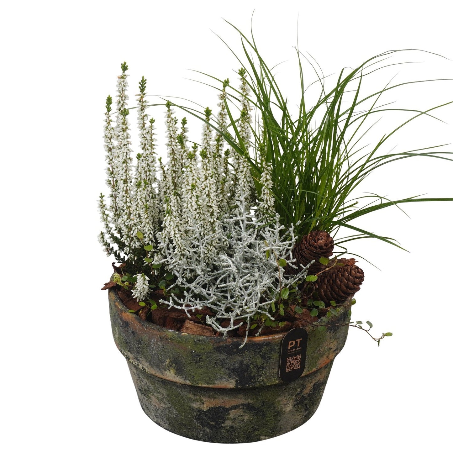Outdoor arrangement 32cm 20cm Pot
