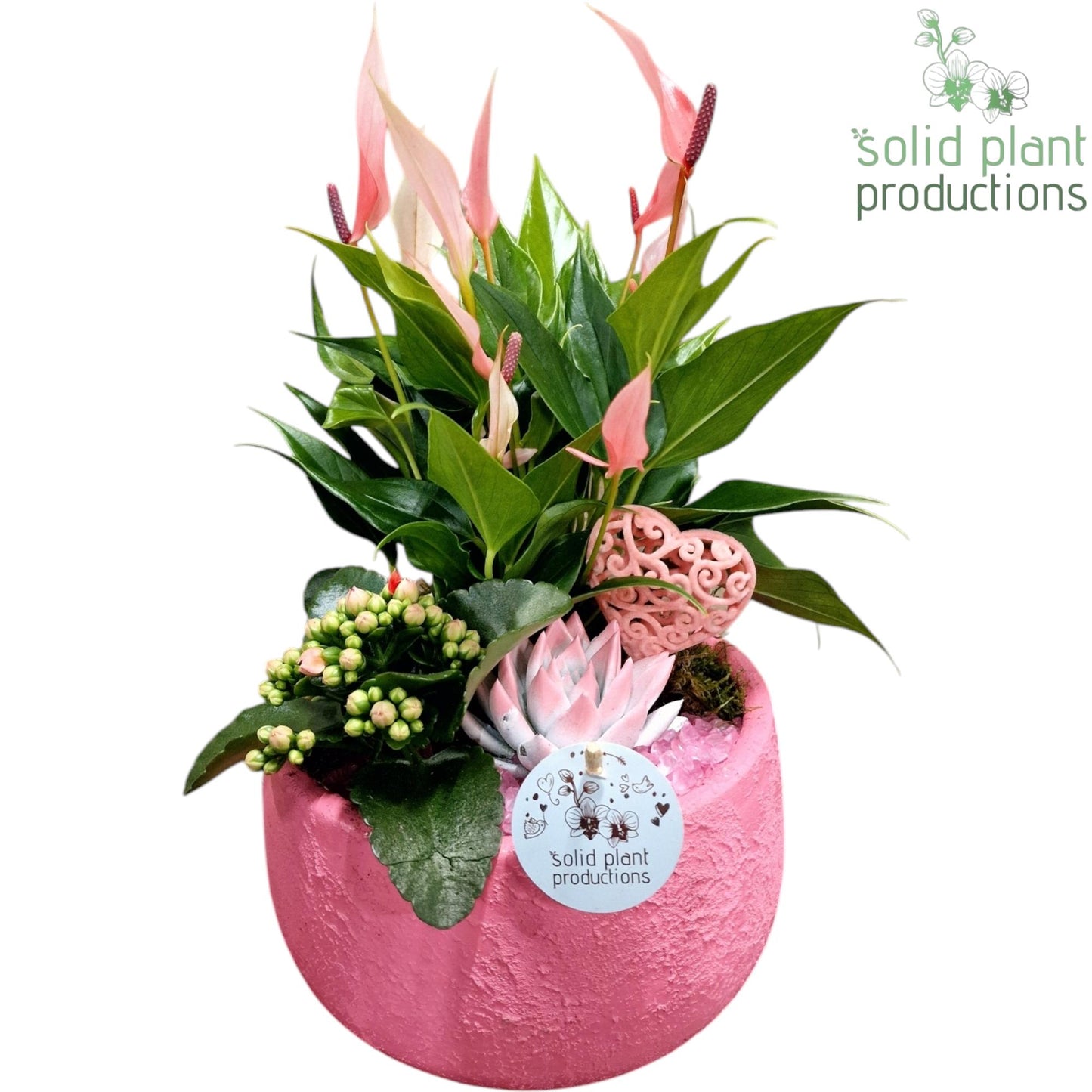 AE033 Esra Pink Small Love 40cm 21cm Pot