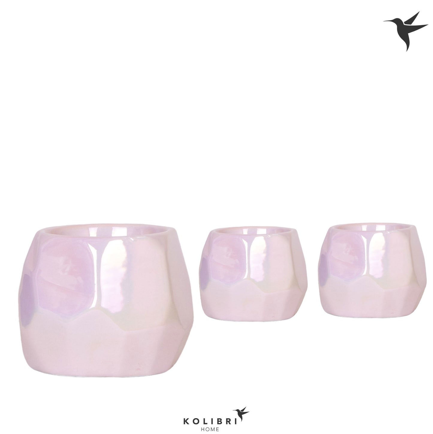 OK Plant Ceramicpottery Pack of 5