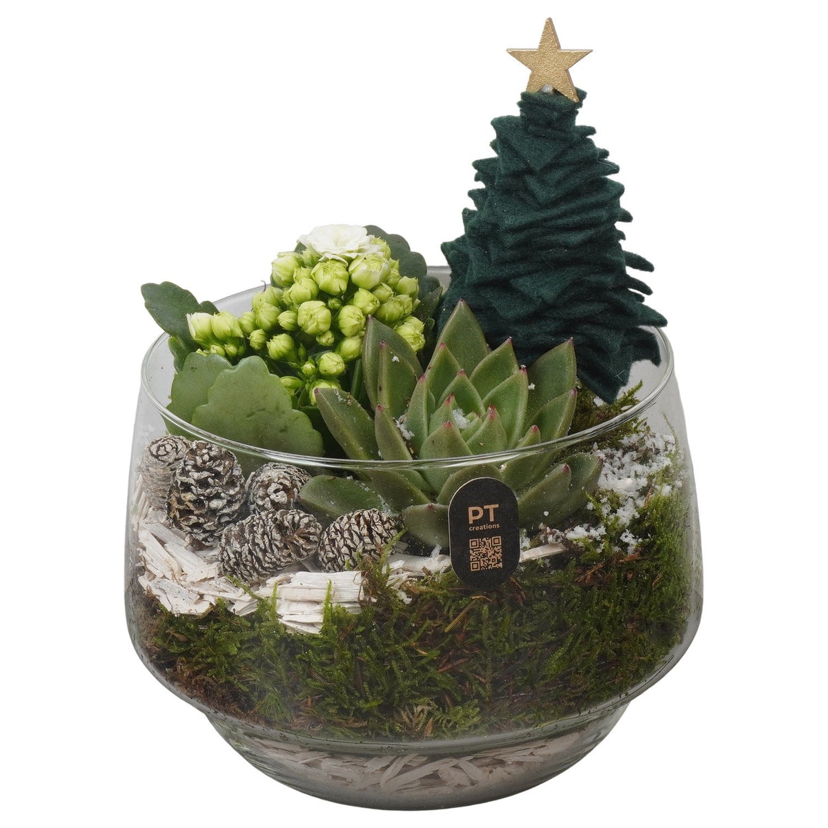 Christmas arrangement 20cm 16cm Pot