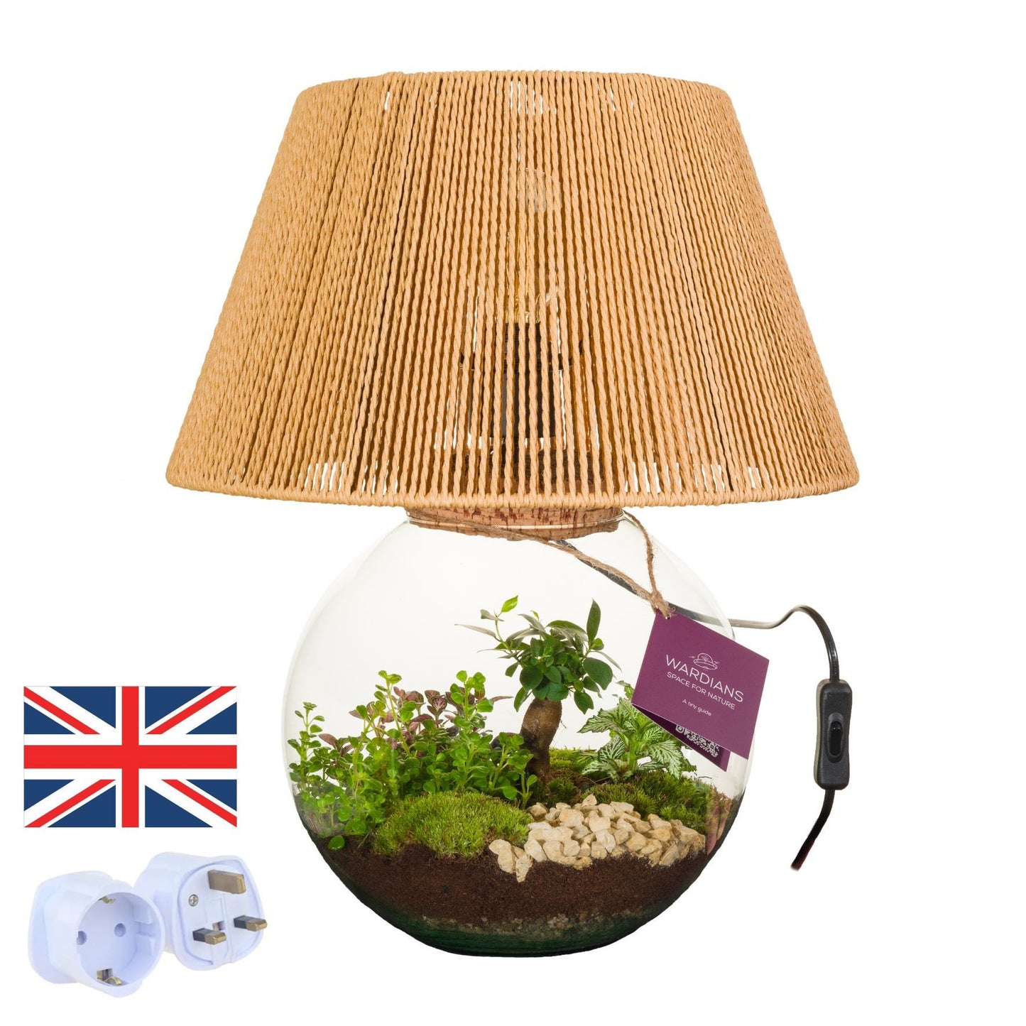 Wardians Wardians Terrarium - Moonlight + UK ADAPTER Pack of 1