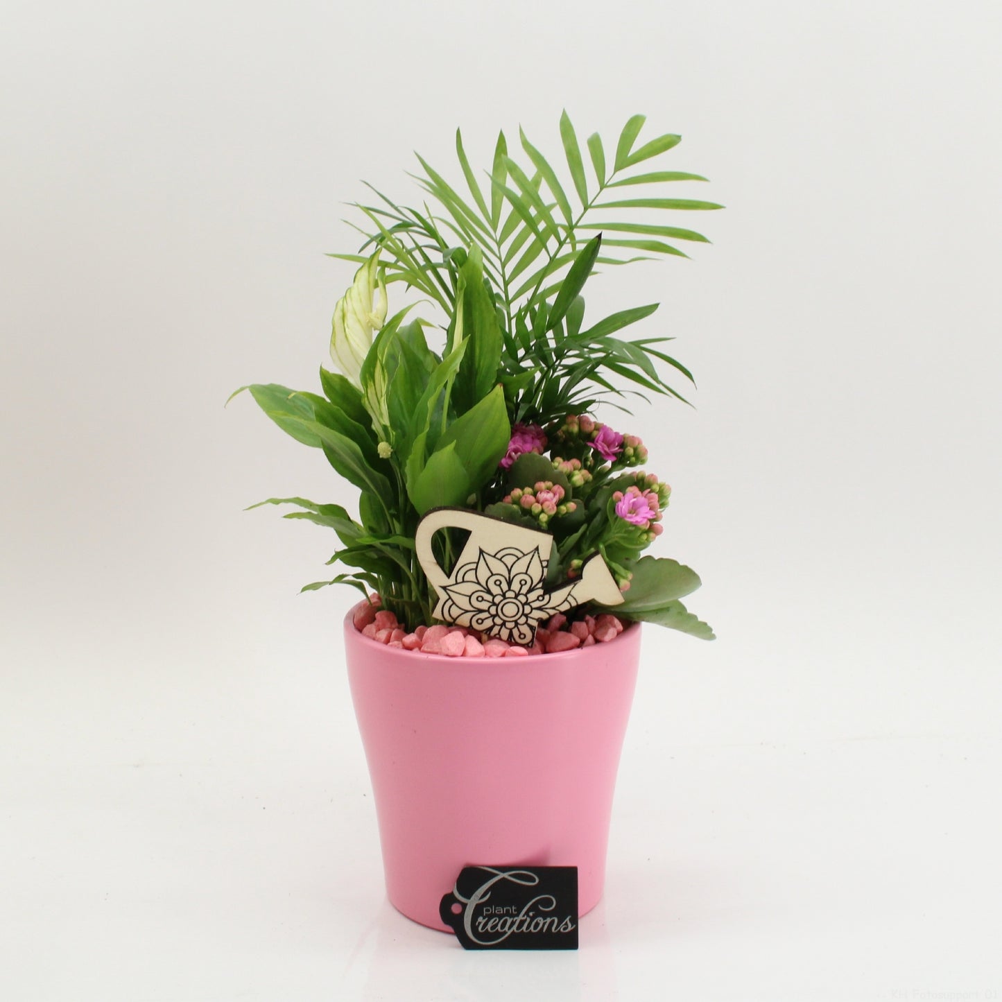 FDCR-2608RZ Basic Fundamentals 35cm 14cm Pot