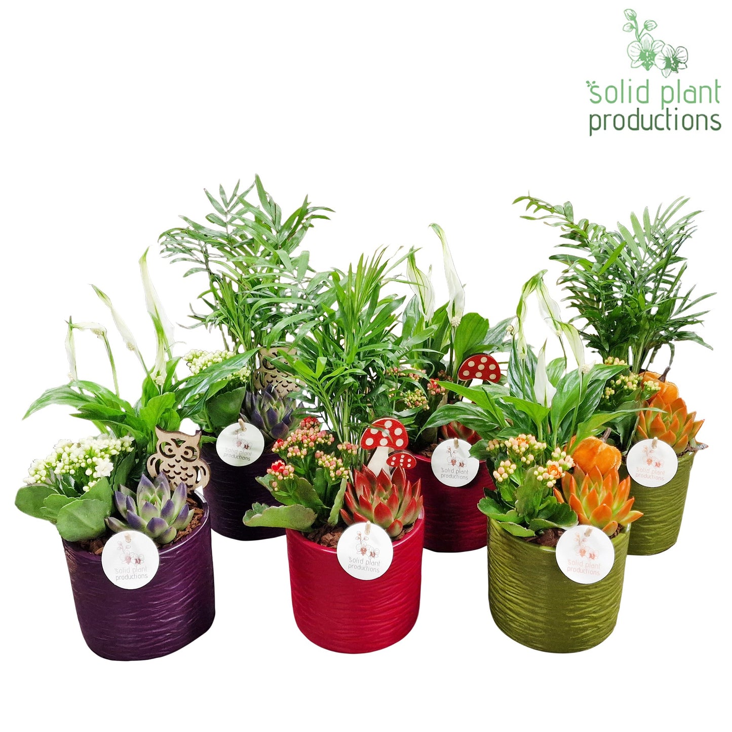 SCE001 Amy Autumn Mix 35cm 13cm Pot
