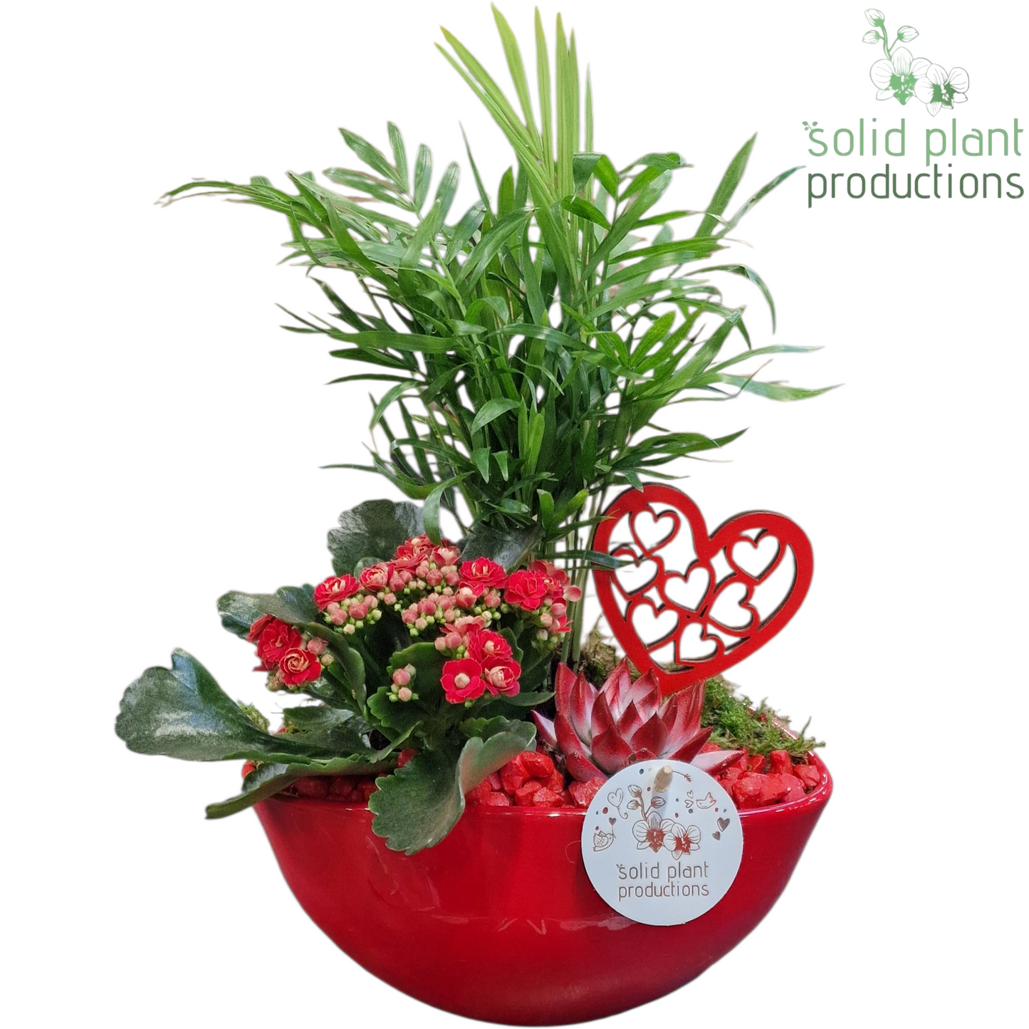 CE005 Evelyn Red VM 35cm 22cm Pot