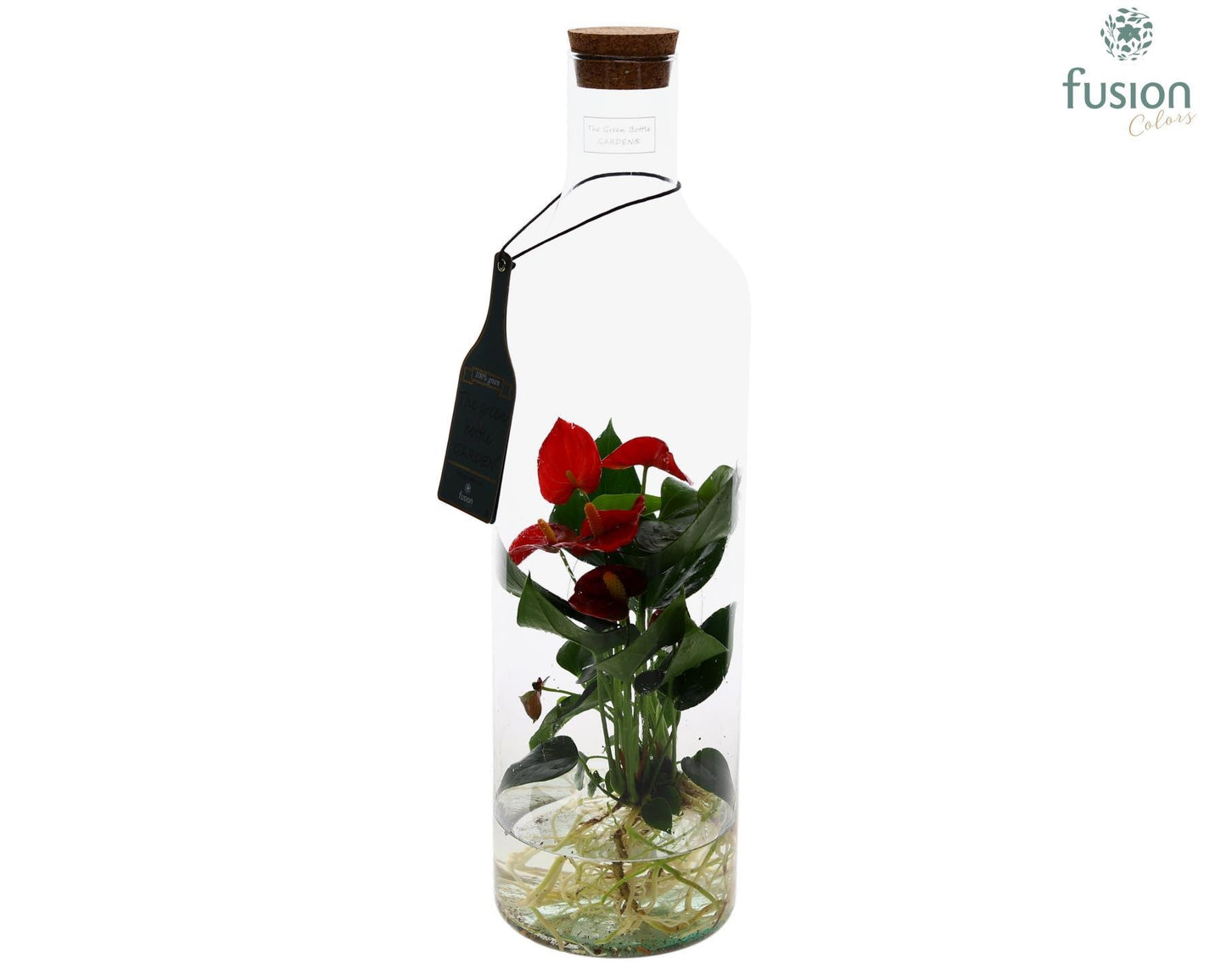 Green Bottle Fles Large met Anthurium 24uur levering 55cm 15cm Pot
