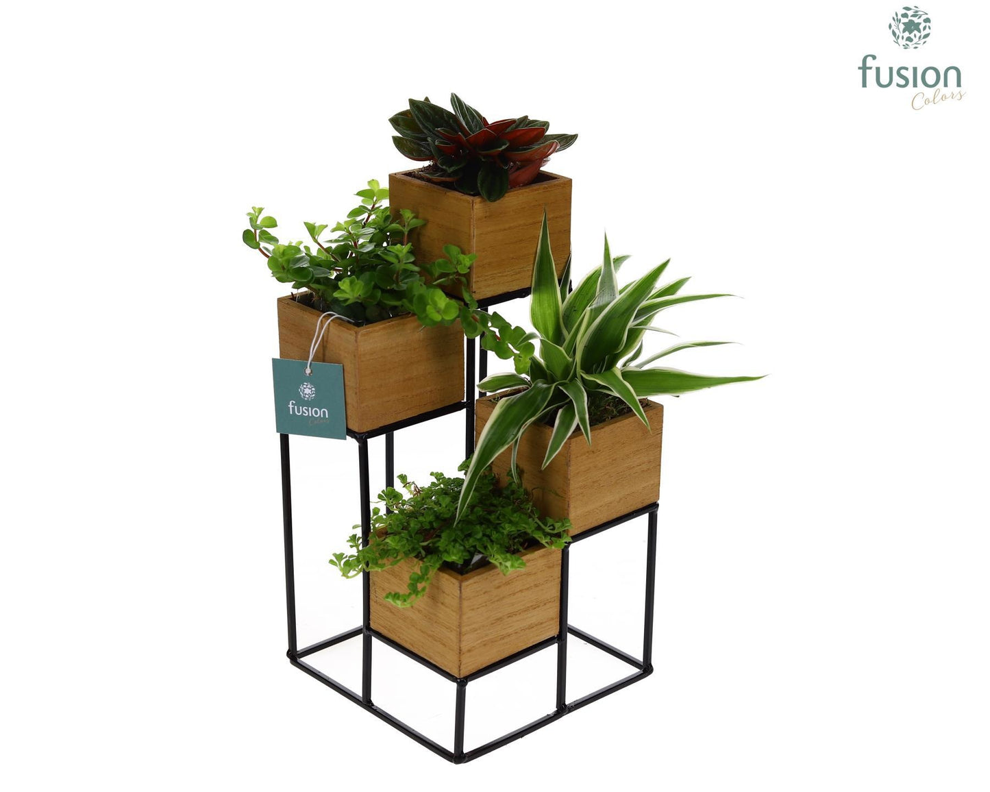 Tower hout met metaal met Groene Planten 4pp 29cm 15cm Pot