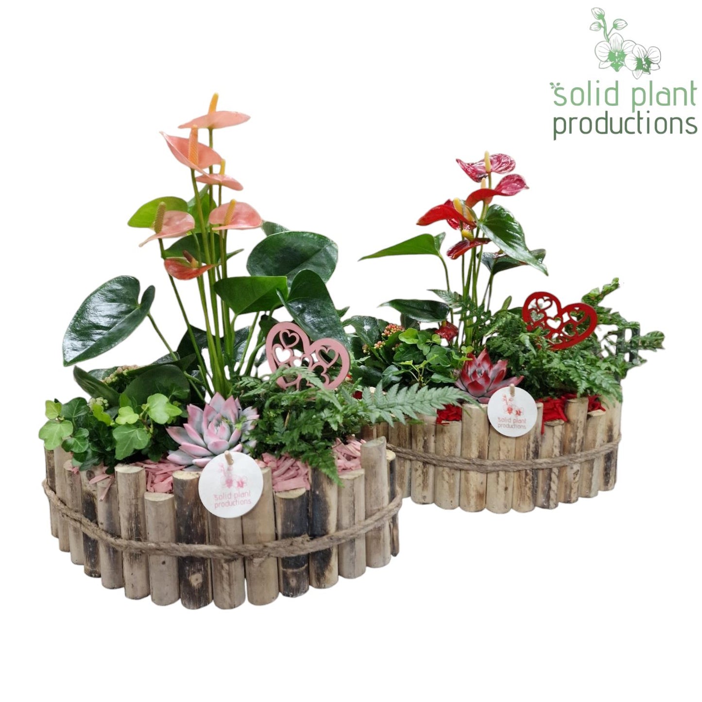 HVAE006 Napoli Large Red/Pink Mix 45cm 35cm Pot