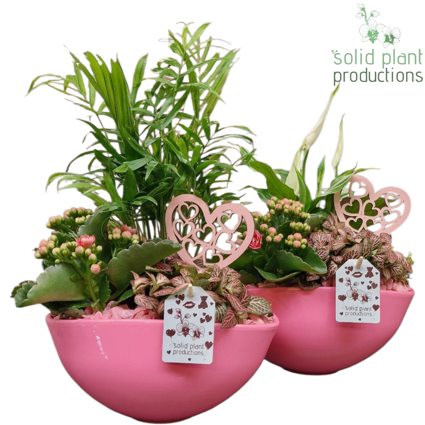 SCE005 Evelyn Pink Mix VM 35cm 22cm Pot