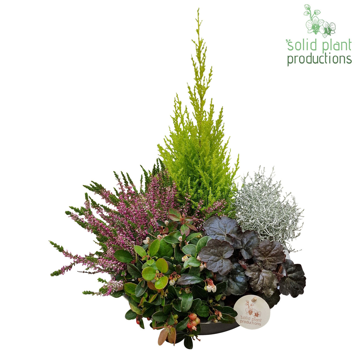 ZBA001 Zink Bowl Autumn 45cm 30cm Pot
